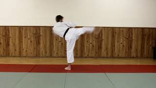 Gold Belt 6 Count