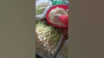 bồn bồn tươi, muối ở miền tây sóc trăng🤫🤫🤫🤫🤫