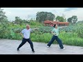 Kung Fu Fundamentals: Building Power Through Stances and Punches
