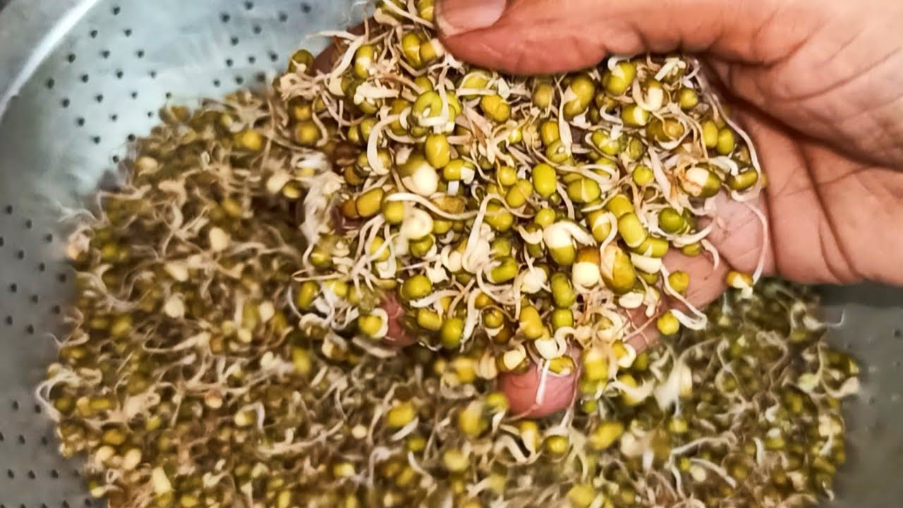 Sprouted Green Gram Stir Fry | Healthy Recipe | Mulappicha Cherupayar Stir Fry  