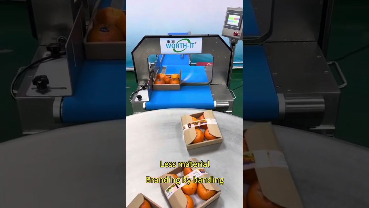 Orange Fruit Branding By Banding And Saving A Lot Of Material Bundle Bandingmachine
