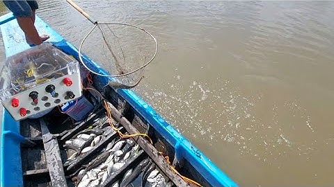 Test thực tế kích cá da trơn 60b | Điện Tử Nguyễn Sự |