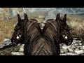 Skyrim Special Edition: Dumb Yet Hilarious Glitches