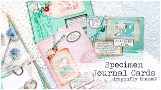 SPECIMEN JOURNALING CARDS | Interactive Cards With a Window Pocket | Junk Journal Ephemera Tutorial