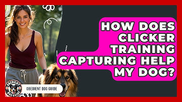 How Does Clicker Training Capturing Help My Dog? - Obedient Dog Guide