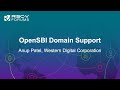 Opensbi domain support  anup patel western digital corporation