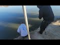 Fishermans retreat Trout fishing southern California