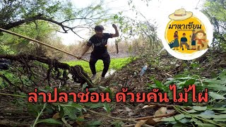 มาหาเซียน: ล่าปลาช่อนตับหมู!ด้วยคันไม้ไผ่!เลือดหมูล้อ|เกินต้านทาน