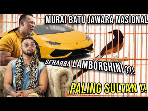 Video: Cara Bertengger Melatih Parkit Anda: 11 Langkah (dengan Gambar)