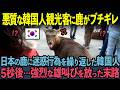 【海外の反応】鹿が韓国人にガチギレ！迷惑行為を繰り返した中韓観光客に、強烈な反撃をやり返した結果
