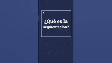 ¿Qué es la segmentación?