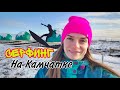 Серфинг НА КАМЧАТКЕ! В Тихом ледяном океане. Где живут смельчаки?