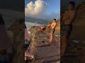 Merry Xmas from Hawaii