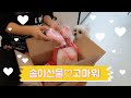 별둥이들의 깜짝선물 솜이 선물 고마웡 별둥이들의 깜짝선물 솜이 선물 고마웡