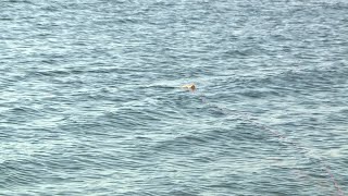 Middle Schoolers Demonstrate Their Rip Tide Rescue Device