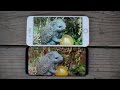 Сравнение камер iPhone 7 Plus и Samsung Galaxy S8+