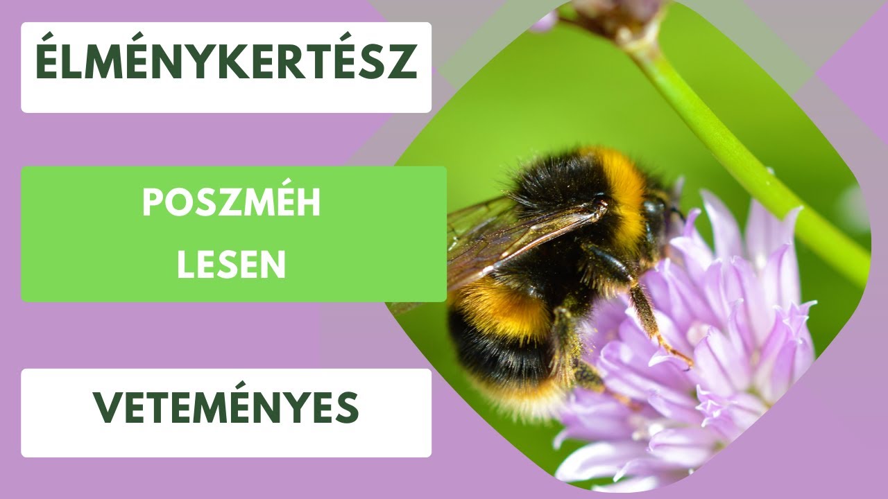 Poszméh lesen!🐝