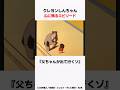 【クレヨンしんちゃん】心に残るエピソード『父ちゃんが出て行くゾ』をサクッと紹介#クレしん #感動回 #shorts