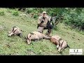 Burris Laserscope III Chamois Hunt, Slovenia