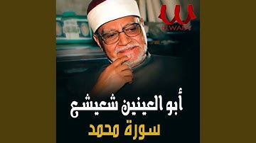 سورة محمد