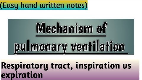 Pulmonary ventilation and it