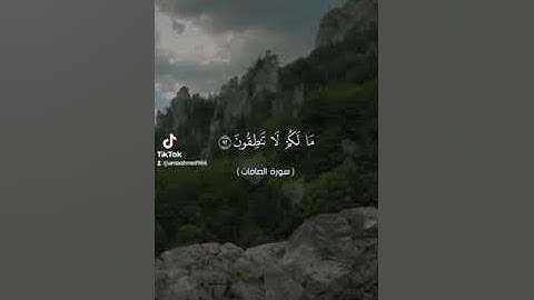 آيات من سورة الصافات بصوت الشيخ أبو أنس شمس الدين