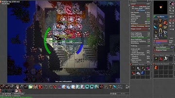 Killing Raging Mage - Yielothax -