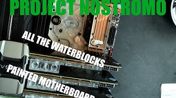 Nostromo: X99, 980Ti 3-Way SLI, Water Cooled, Painted RVE Motherboard, 5960X -- Part 2