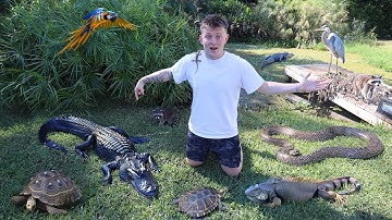 THE CRAZIEST BACKYARD REPTILE ZOO!