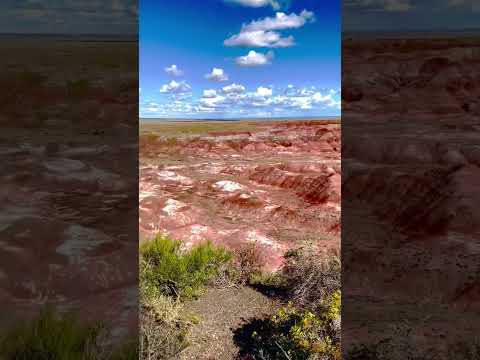 Painted Desert at the Petrified Forest #petrified #petrifiedforest #holbrook #arizona #usa #travel