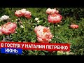 В гостях у Наталии Петренко - июнь