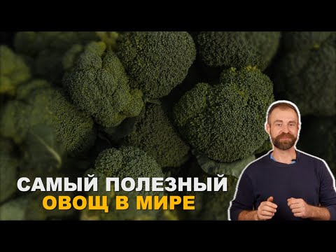 Капуста брокколи от А до Я.