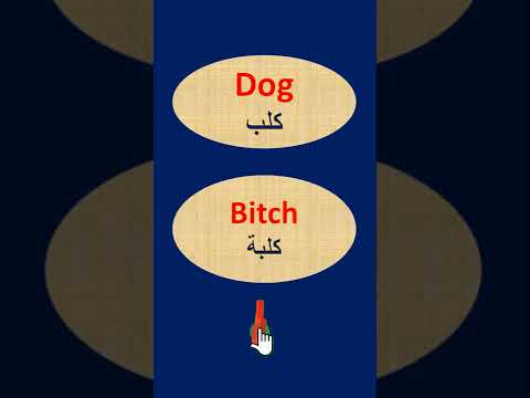 هل تعرف معنى الكلمة الانجليزية 