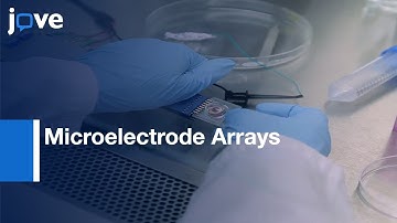 High Efficiency, Site-specific Transfection: Adherent Cells with siRNA: MEA l Protocol Preview
