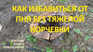 Как быстро и легко убрать ПЕНЬ с участка без корчевки. Как избавиться от пня без корчевания.