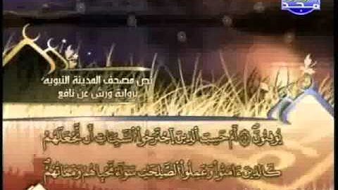 العيون الكوشي - سورة الجاثية