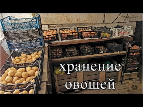 Хранение овощей на зиму в погребе или подвале. Общие правила хранения, температура и влажность