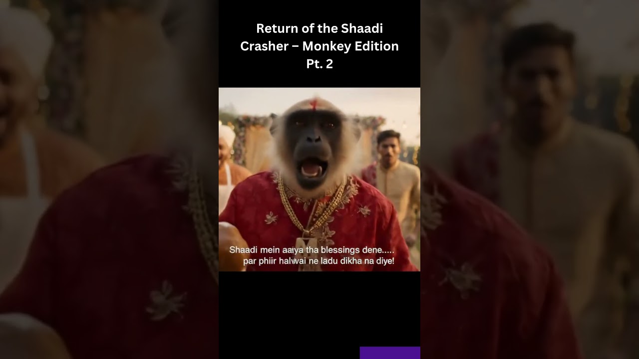 Monkey in Wedding – Part 2  Laddu Chor at Indian Shaadi