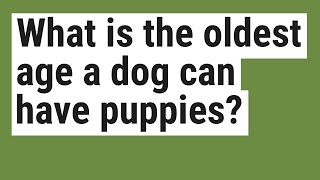 What is the oldest age a dog can have puppies?