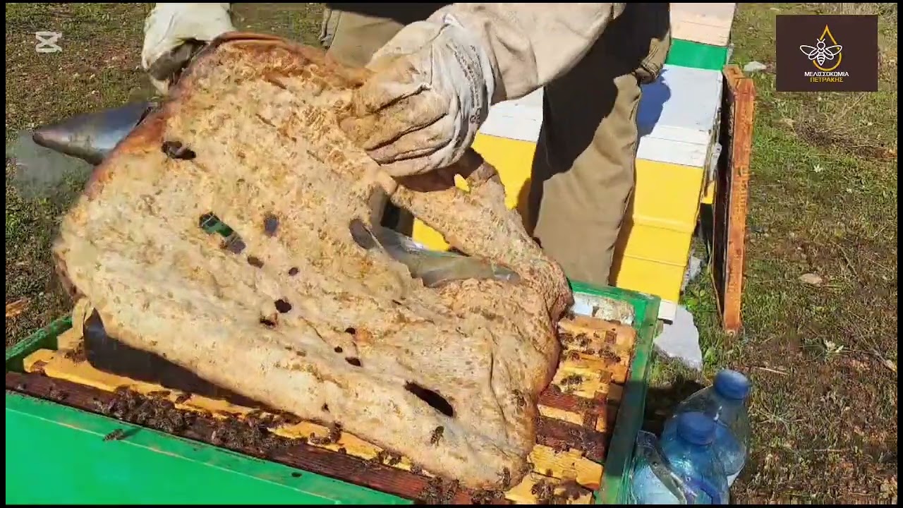 Στα μελίσσια του Δημήτρη 🐝🐝