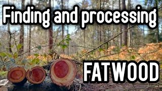 How to find and process fatwood 2022.