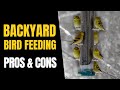 The PROS & CONS of Backyard BIRD Feeding