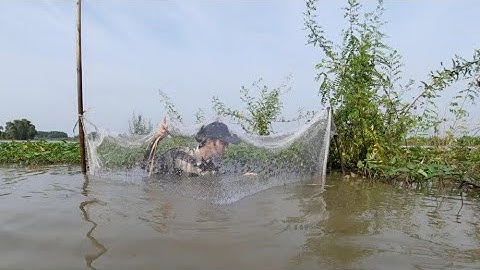 Thôn Nữ Chế Tạo Vũ Khí Bẫy Cá Kì Lạ | Bắt Cá Hiệu Quả Bằng Một Miếng Lưới Chài | Trúc Phương Vlog