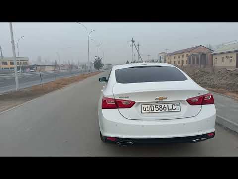 25 января 2024