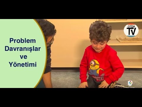 Otizm ve Problem Davranışlar:  11 Program