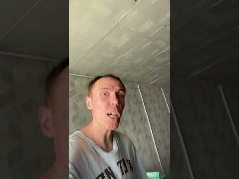 Как выгнать из дома мух ?