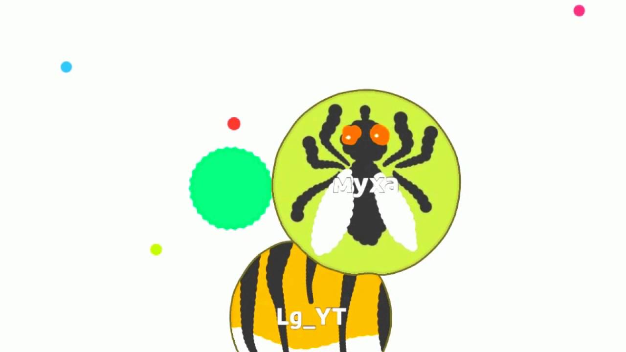 играю в агарио - YouTube