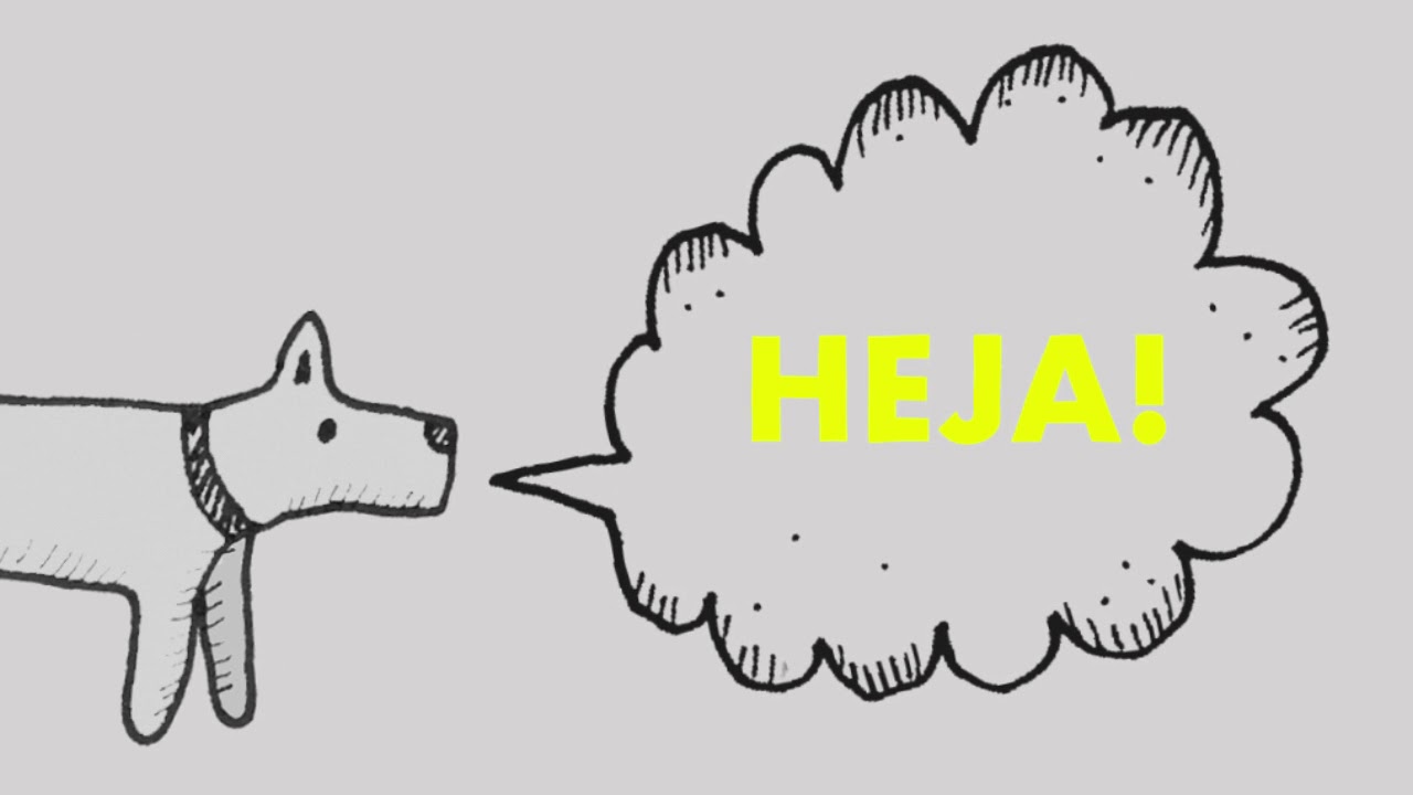 Tips till dig som åker hiss eller rulltrappa med djur