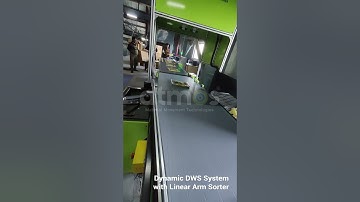 Dynamic DWS (Dimensioning Weighing Scanning System) With Linear Arm Sorter
