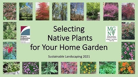 Selecting Native Plants for Your Home Garden